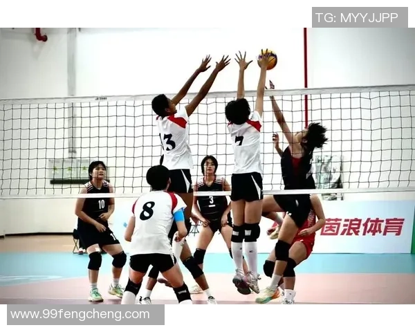 排球专题：聚焦上海排球队的配合